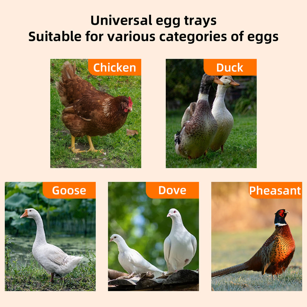 352 Egg Incubator with Automatic Egg Turning,Temperature Control and Humidity Control,Hatching Eggs,Chicken,Ducks,Poultry,Industrial Brooding Machine Chicken Incubator for Farm,Lab,Home,Indoor