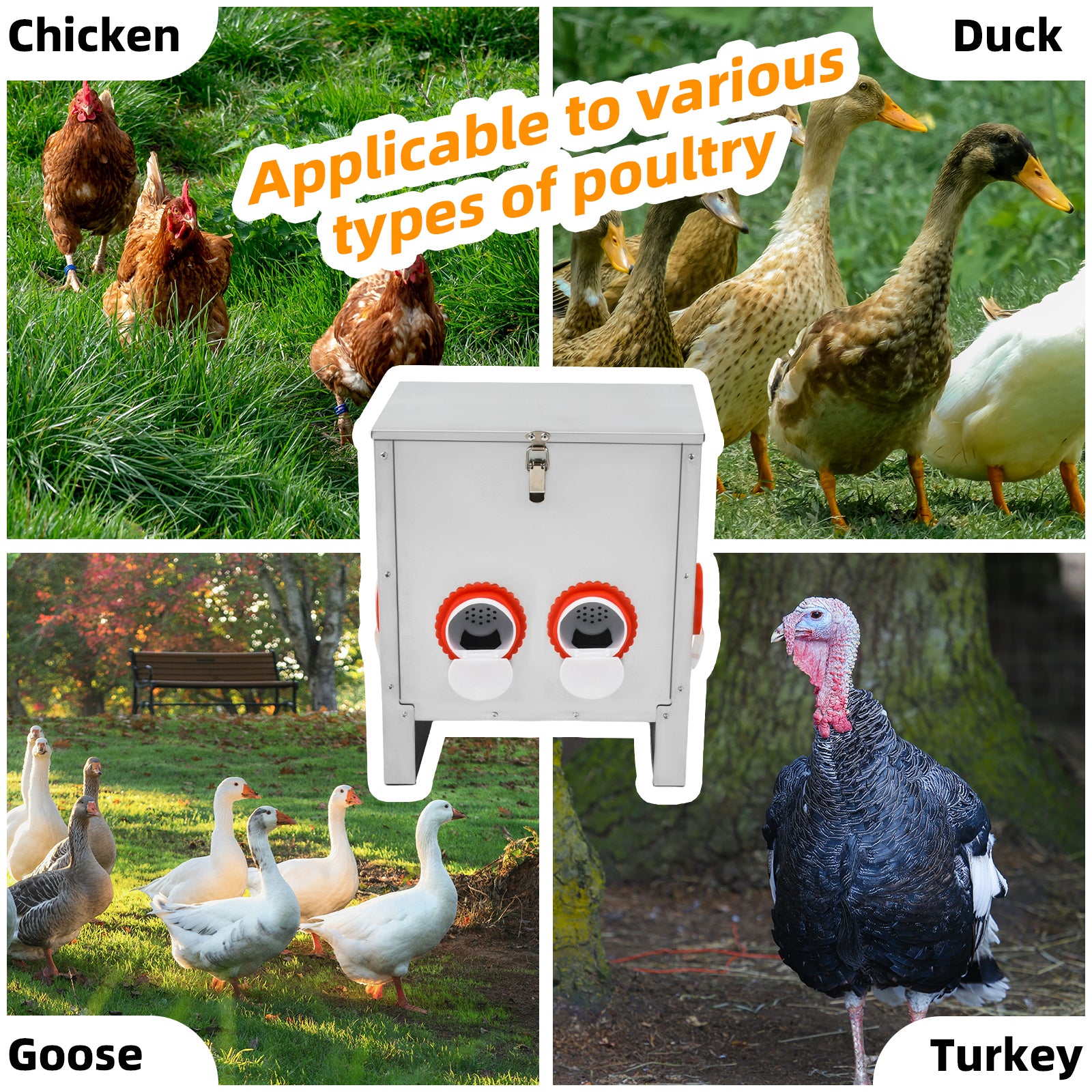 Metal Automatic Chicken Feeder 30LBS with 4 Ports,No Feed Waste,All Seasons Support,Weather-Resistant and Animal-Proof,Suitable for Chicken,Geese,Ducks,Turkeys,Quails