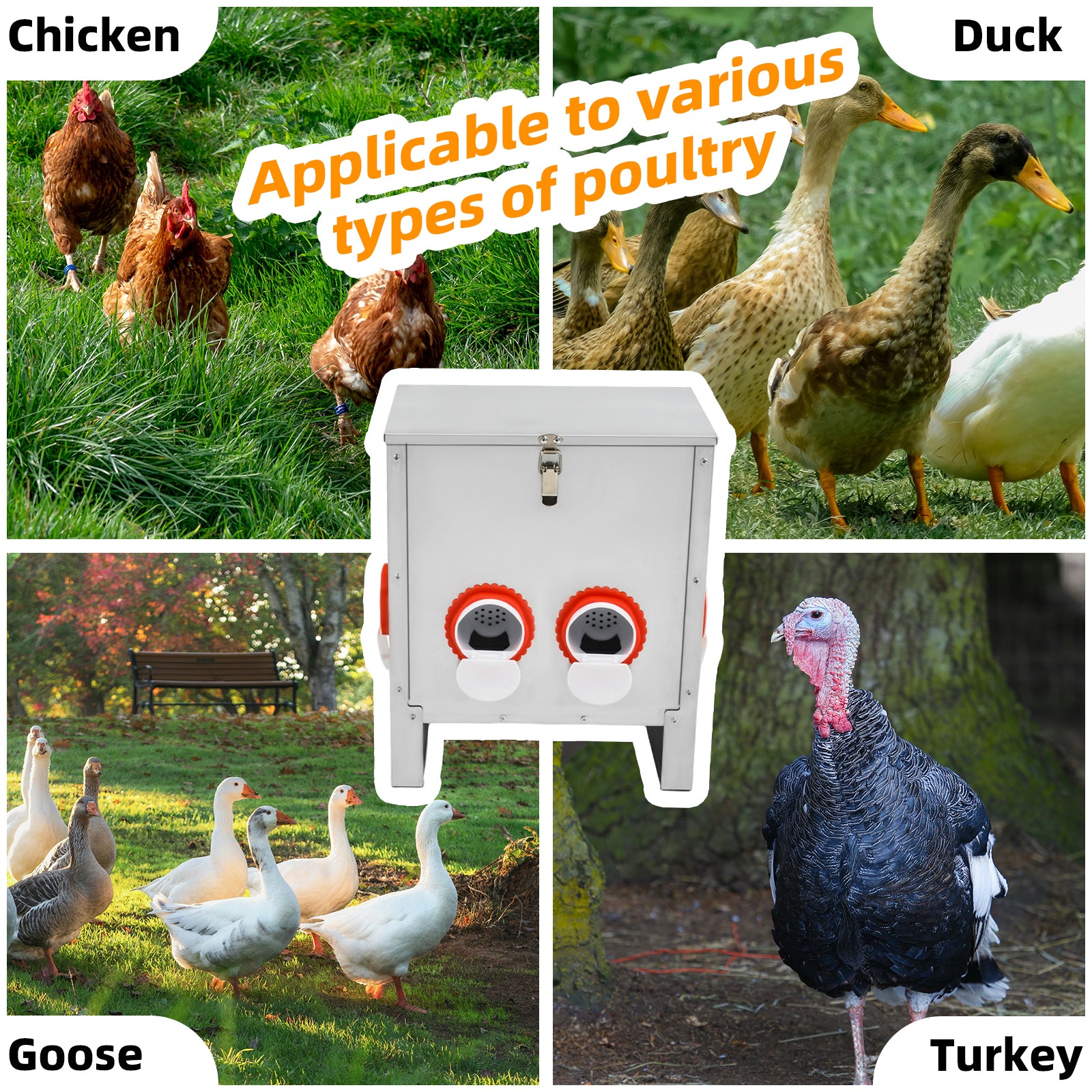Metal Automatic Chicken Feeder 30LBS with 6 Ports,No Feed Waste,All Seasons Support,Weather-Resistant and Animal-Proof,Suitable for Chicken,Geese,Ducks,Turkeys,Quails