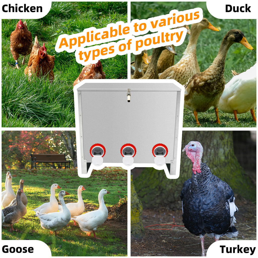 Metal Automatic Chicken Feeder 90LBS with 8 Ports,No Feed Waste,All Seasons Support,Weather-Resistant and Animal-Proof,Suitable for Chicken,Geese,Ducks,Turkeys,Quails